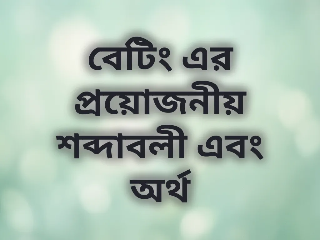 বেটিং এর প্রয়োজনীয় শব্দাবলী এবং অর্থ